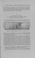 Page 291