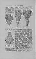 Page 310