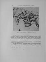 Page 316