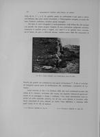 Page 250