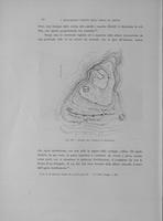 Page 326
