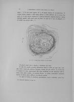 Page 256
