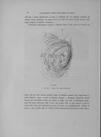 Page 262