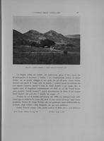 Page 243