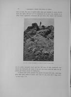 Page 258