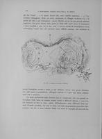 Page 244