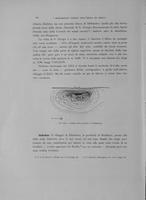 Page 350