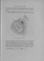 Page 269