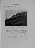 Page 325