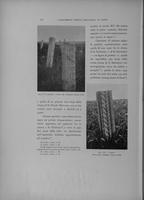 Page 216