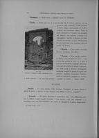 Page 272