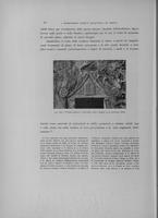 Page 264