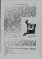 Page 517