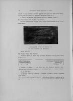 Page 502