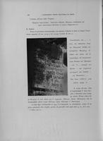 Page 546