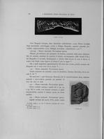 Page 220