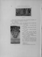 Page 248