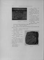 Page 262