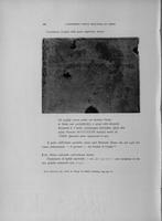 Page 310