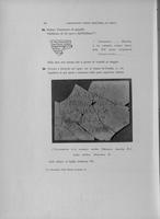 Page 562