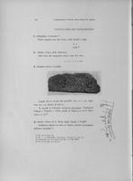 Page 386