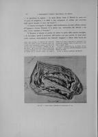 Page 283