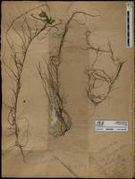 ISMAR0886
