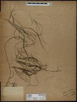 ISMAR0923
